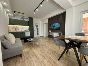 ViK Central Apartment in Ohrid